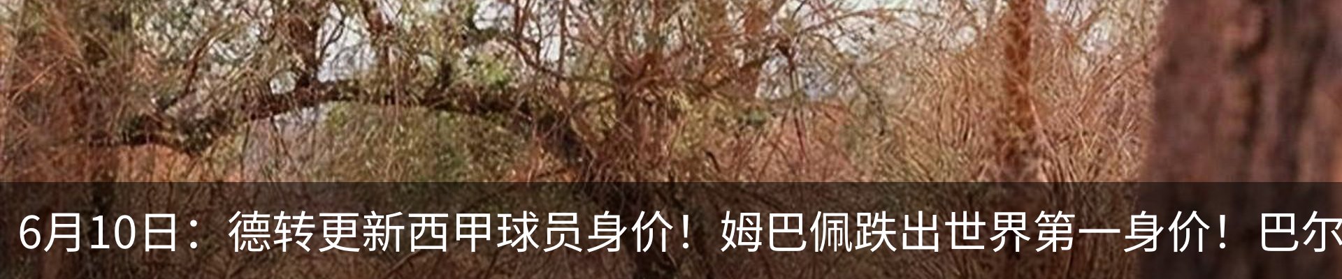 资讯中心